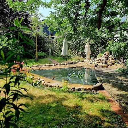 Eine Oase Bei Tara In Waldacker Apartman Rödermark Kültér fotó