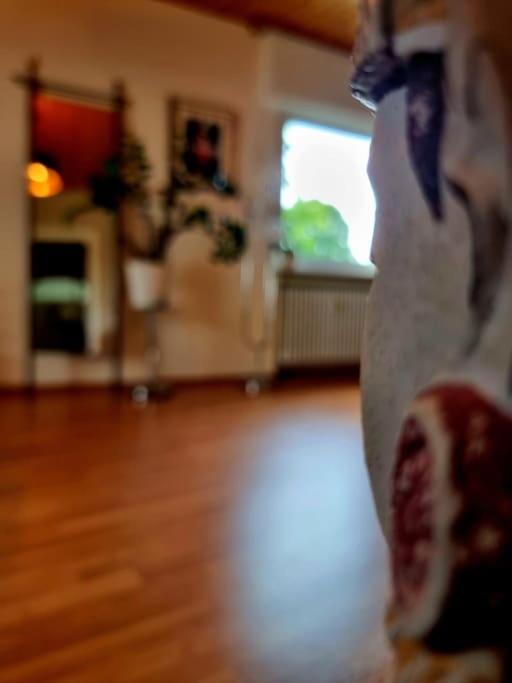 Eine Oase Bei Tara In Waldacker Apartman Rödermark Kültér fotó