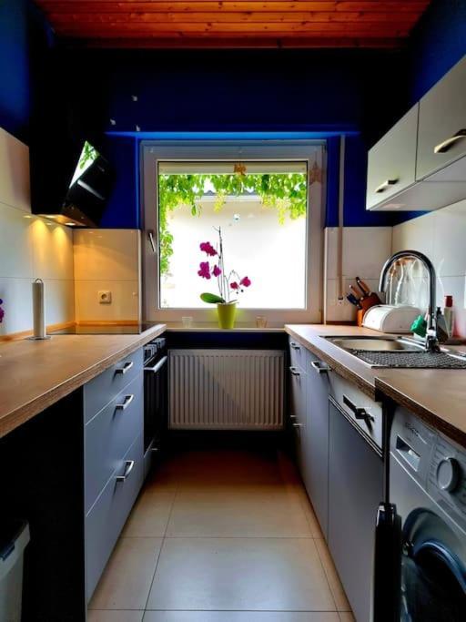 Eine Oase Bei Tara In Waldacker Apartman Rödermark Kültér fotó