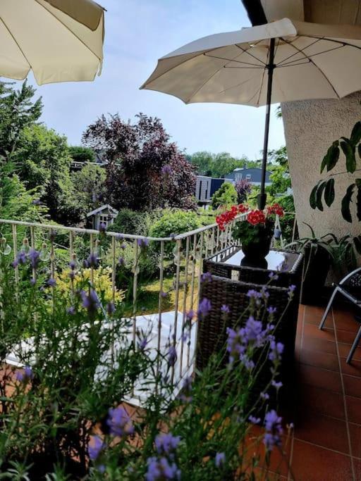 Eine Oase Bei Tara In Waldacker Apartman Rödermark Kültér fotó