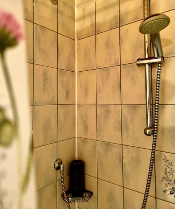 Eine Oase Bei Tara In Waldacker Apartman Rödermark Kültér fotó